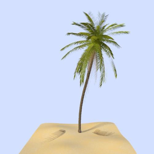 Palm Tree preview image
